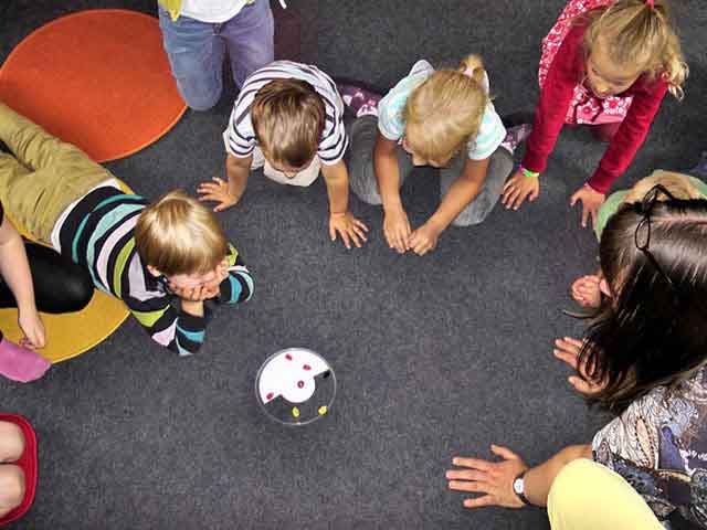 手机号轰在线网页版入口